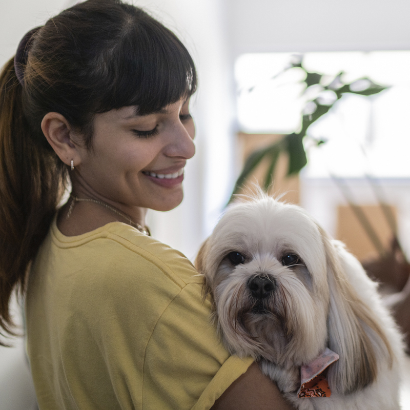Pet Insurance Coverage